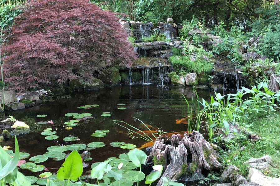 Water Feature