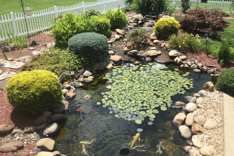 Water Feature