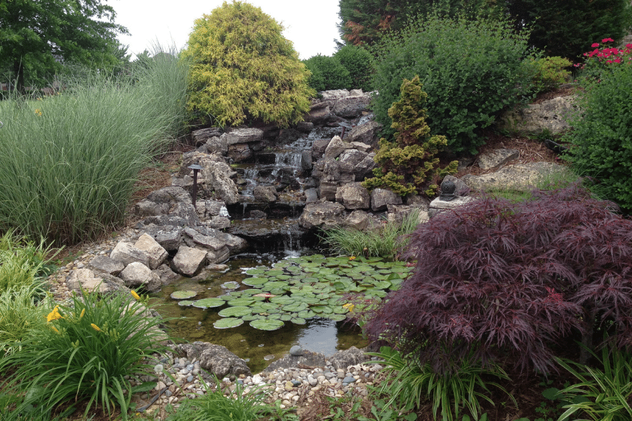 Water Feature