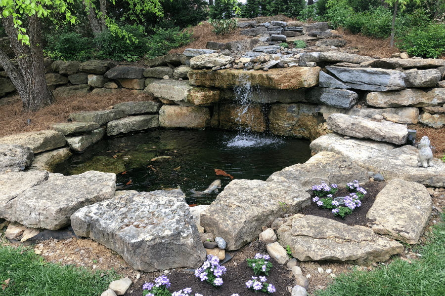 Water Feature